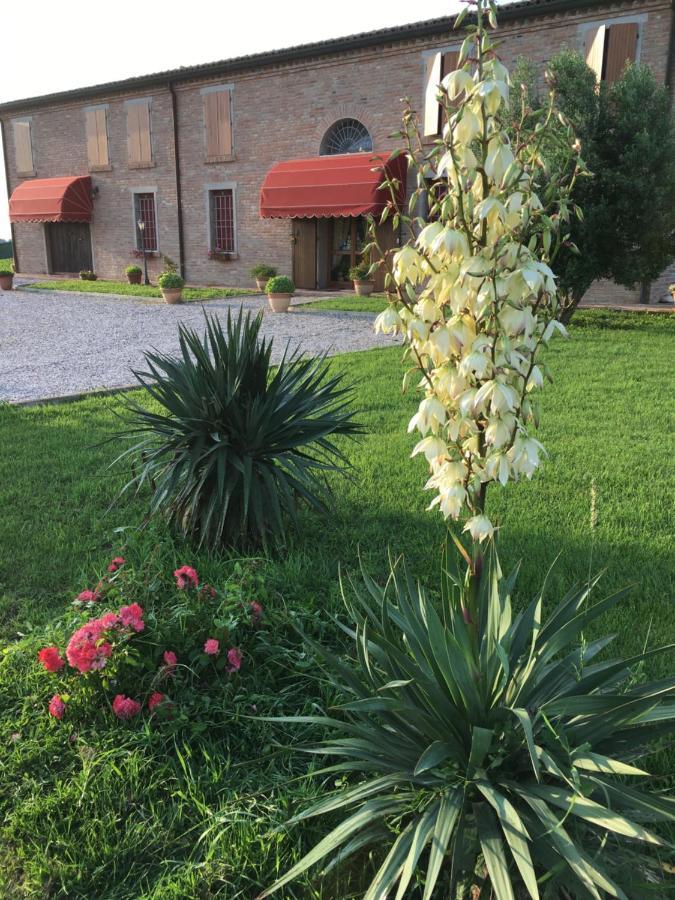 Il Frattiero B&B Voghenza エクステリア 写真