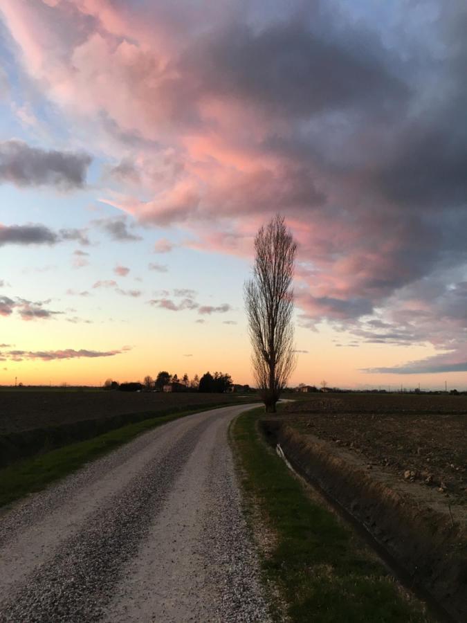 Il Frattiero B&B Voghenza エクステリア 写真